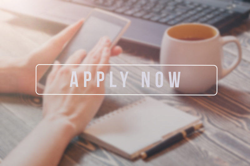 Applying for a Job via the Electronic System, Finland